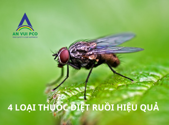 4 LOẠI THUỐC DIỆT RUỒI HIỆU QUẢ TỐT NHẤT